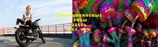 PSILOCYBIN Беломорск