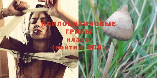 mix Белокуриха