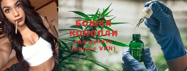 mix Белокуриха