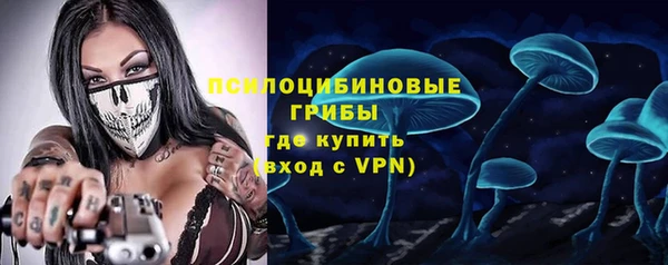 сатива Белоозёрский