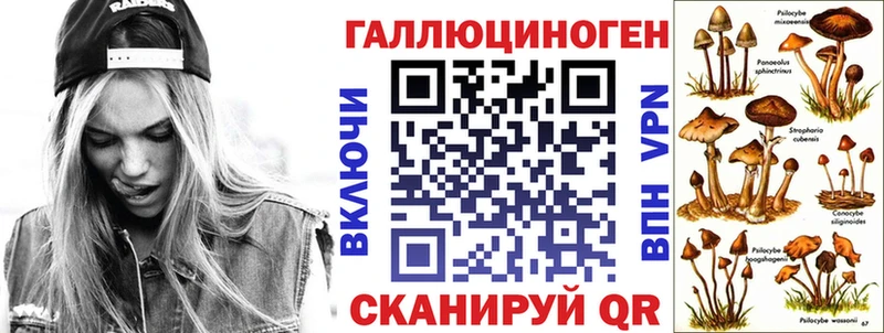Псилоцибиновые грибы MAGIC MUSHROOMS  купить закладку  Мглин 